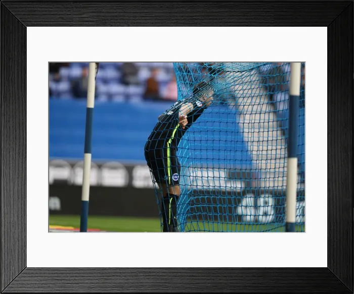 Framed Print : Brighton & Hove Albion vs. Wigan Athletic: A Battle from Season 2016-17 (October 22, 2016)