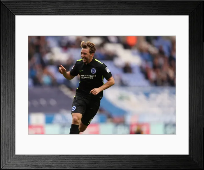 Framed Print : Brighton and Hove Albion vs. Wigan Athletic: Sky Bet Championship Showdown at DW Stadium (22 / 10 / 2016)