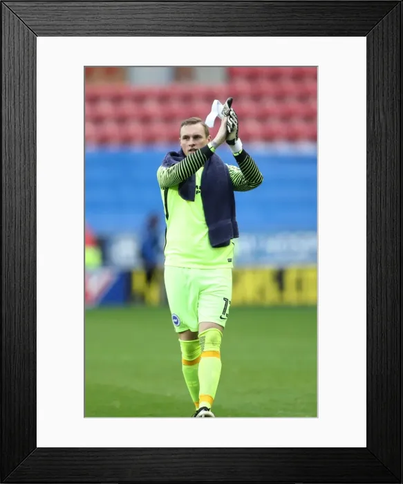 Framed Print : Brighton and Hove Albion vs. Wigan Athletic: Sky Bet Championship Showdown at DW Stadium (22 / 10 / 2016)