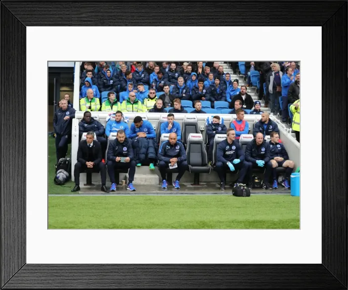 Framed Print : Brighton and Hove Albion vs. Norwich City: A Fierce EFL Sky Bet Championship Showdown (29OCT16) Framed Print : Brighton and Hove Albion vs. Norwich City: A Fierce EFL Sky Bet Championship Showdown (29OCT16)