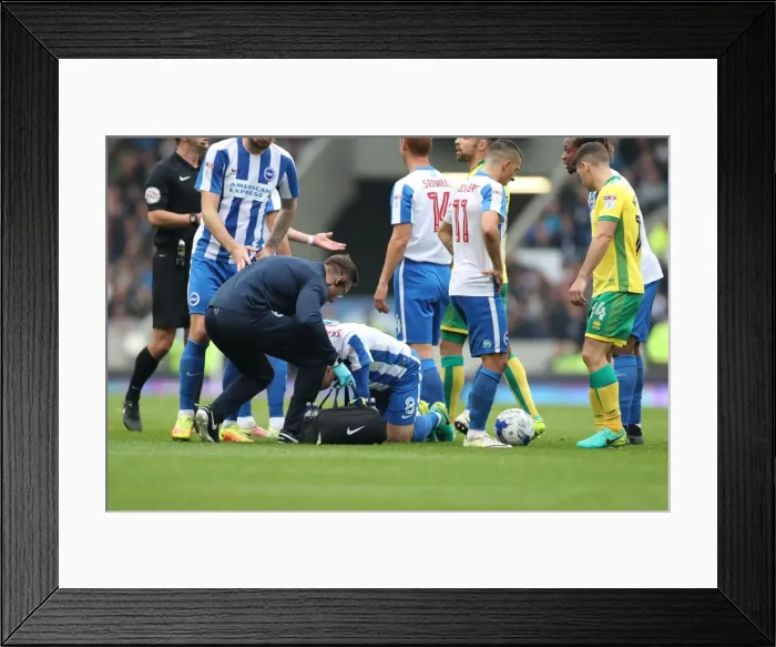 Framed Print : Brighton and Hove Albion vs. Norwich City: A Fierce EFL Sky Bet Championship Showdown (29OCT16) Framed Print : Brighton and Hove Albion vs. Norwich City: A Fierce EFL Sky Bet Championship Showdown (29OCT16)