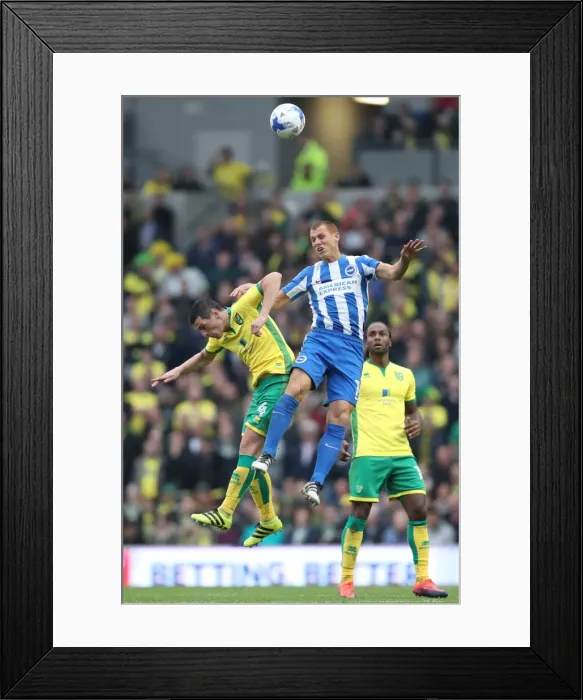 Framed Print : Championship Clash: Brighton & Hove Albion vs. Norwich City (29Oct16) - American Express Community Stadium Framed Print : Championship Clash: Brighton & Hove Albion vs. Norwich City (29Oct16) - American Express Community Stadium
