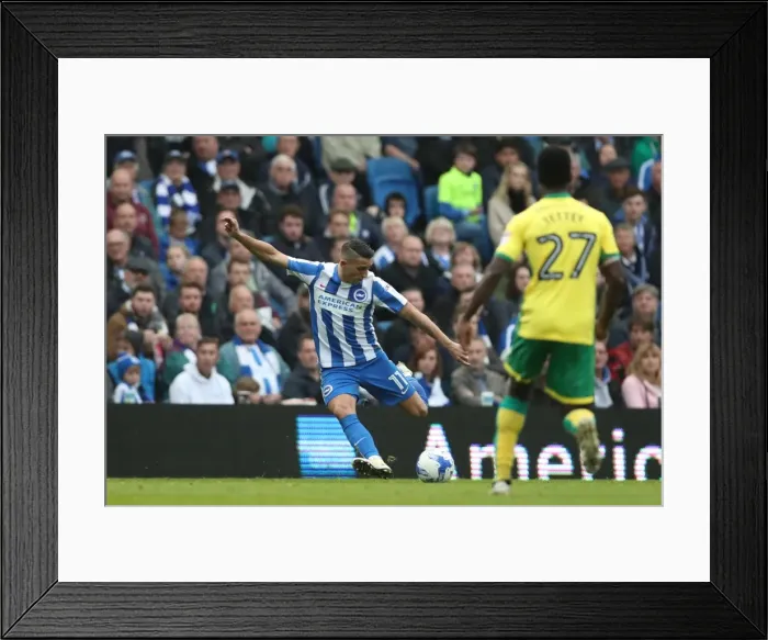 Framed Print : Brighton and Hove Albion vs. Norwich City: A Fierce EFL Sky Bet Championship Showdown (29OCT16) Framed Print : Brighton and Hove Albion vs. Norwich City: A Fierce EFL Sky Bet Championship Showdown (29OCT16)