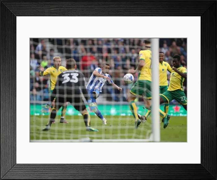 Framed Print : Championship Clash: Brighton & Hove Albion vs. Norwich City (29Oct16) - American Express Community Stadium Framed Print : Championship Clash: Brighton & Hove Albion vs. Norwich City (29Oct16) - American Express Community Stadium