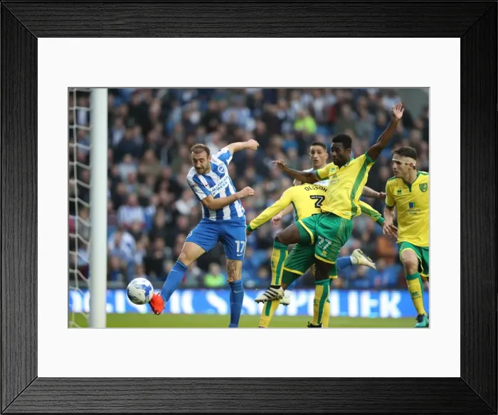 Framed Print : Championship Clash: Brighton & Hove Albion vs. Norwich City (29Oct16) - American Express Community Stadium Framed Print : Championship Clash: Brighton & Hove Albion vs. Norwich City (29Oct16) - American Express Community Stadium