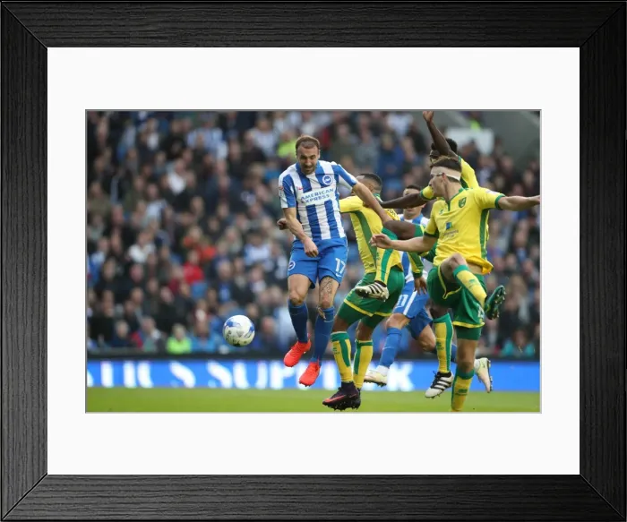 Framed Print : Championship Clash: Brighton & Hove Albion vs. Norwich City (29Oct16) - American Express Community Stadium Framed Print : Championship Clash: Brighton & Hove Albion vs. Norwich City (29Oct16) - American Express Community Stadium