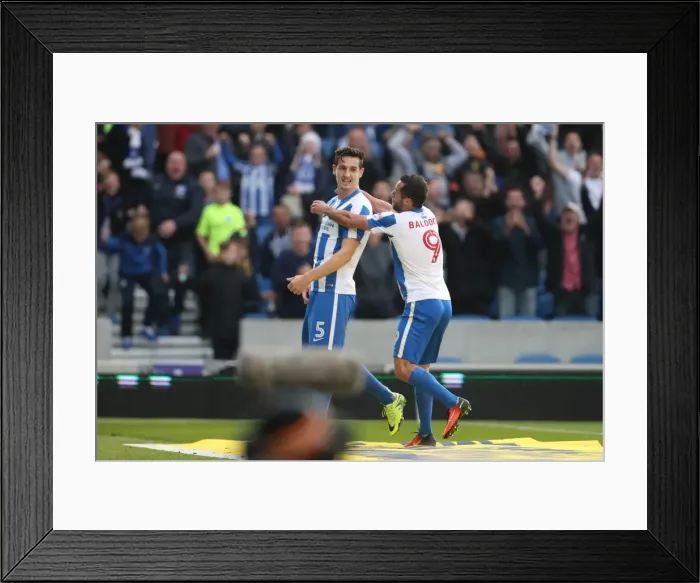 Framed Print : Championship Clash: Brighton & Hove Albion vs. Norwich City (29Oct16) - American Express Community Stadium Framed Print : Championship Clash: Brighton & Hove Albion vs. Norwich City (29Oct16) - American Express Community Stadium