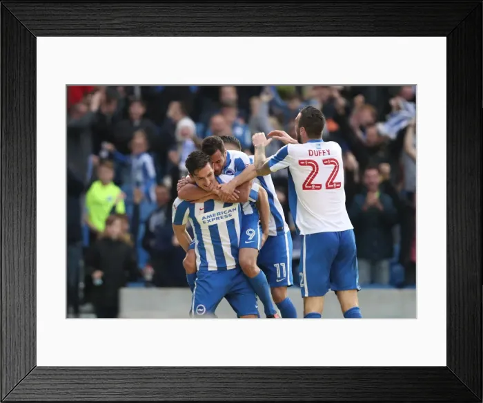 Framed Print : Championship Clash: Brighton & Hove Albion vs. Norwich City (29Oct16) - American Express Community Stadium Framed Print : Championship Clash: Brighton & Hove Albion vs. Norwich City (29Oct16) - American Express Community Stadium