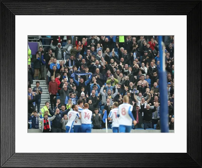 Framed Print : Championship Clash: Brighton & Hove Albion vs. Norwich City (29Oct16) - American Express Community Stadium Framed Print : Championship Clash: Brighton & Hove Albion vs. Norwich City (29Oct16) - American Express Community Stadium