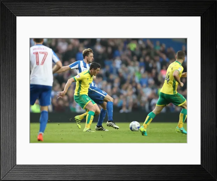 Framed Print : Brighton and Hove Albion vs. Norwich City: A Fierce EFL Sky Bet Championship Showdown (29OCT16) Framed Print : Brighton and Hove Albion vs. Norwich City: A Fierce EFL Sky Bet Championship Showdown (29OCT16)