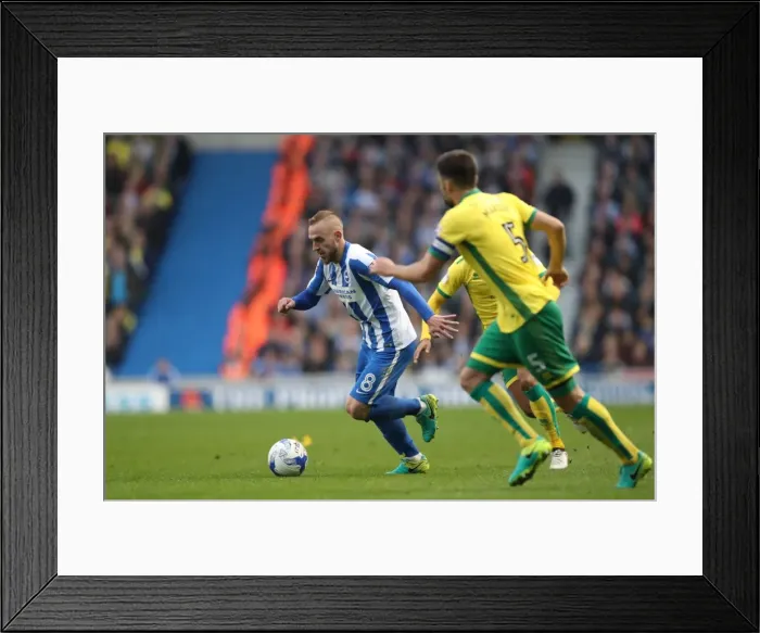 Framed Print : Championship Clash: Brighton and Hove Albion vs. Norwich City at American Express Community Stadium (29OCT16) Framed Print : Championship Clash: Brighton and Hove Albion vs. Norwich City at American Express Community Stadium (29OCT16)