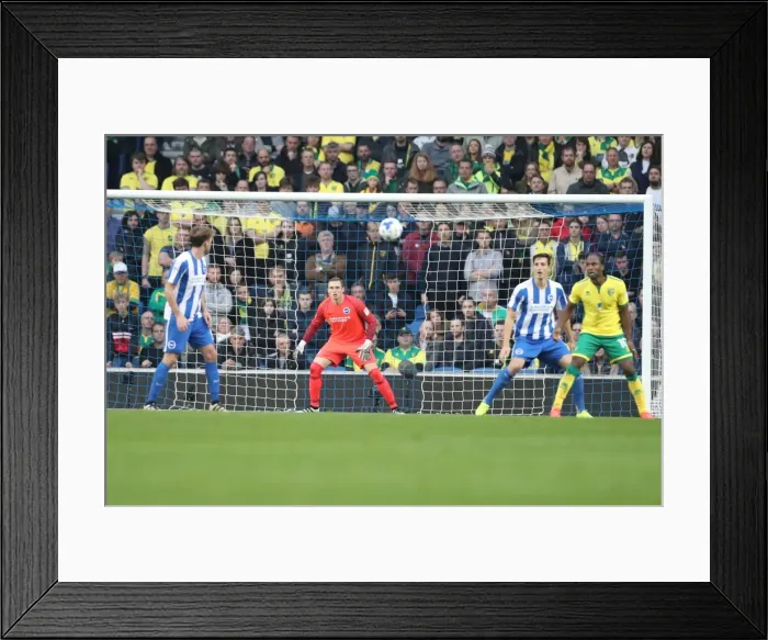 Framed Print : Championship Clash: Brighton & Hove Albion vs. Norwich City (29Oct16) - American Express Community Stadium