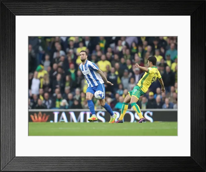 Framed Print : Championship Clash: Brighton & Hove Albion vs. Norwich City (29Oct16) - American Express Community Stadium Framed Print : Championship Clash: Brighton & Hove Albion vs. Norwich City (29Oct16) - American Express Community Stadium