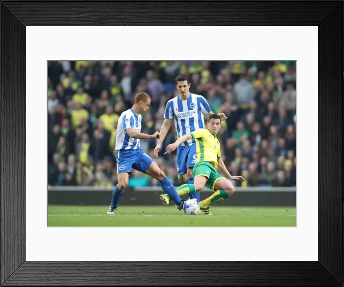 Framed Print : Championship Clash: Brighton & Hove Albion vs. Norwich City (29Oct16) - American Express Community Stadium Framed Print : Championship Clash: Brighton & Hove Albion vs. Norwich City (29Oct16) - American Express Community Stadium
