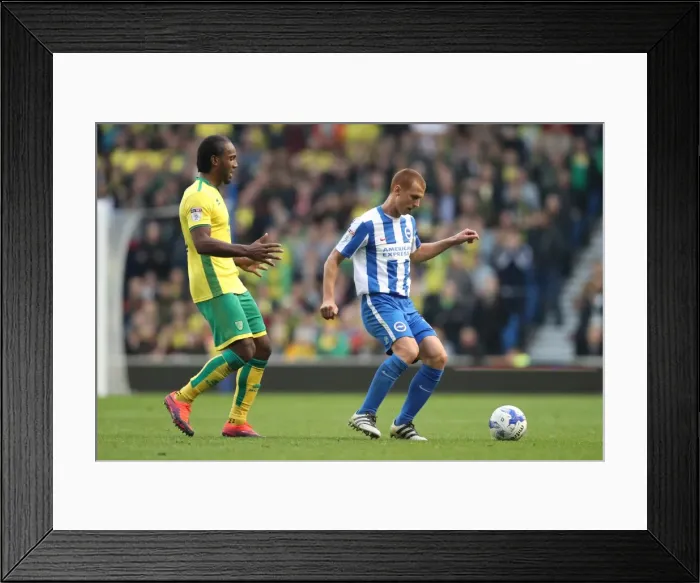 Framed Print : Championship Clash: Brighton & Hove Albion vs. Norwich City (29Oct16) - American Express Community Stadium Framed Print : Championship Clash: Brighton & Hove Albion vs. Norwich City (29Oct16) - American Express Community Stadium