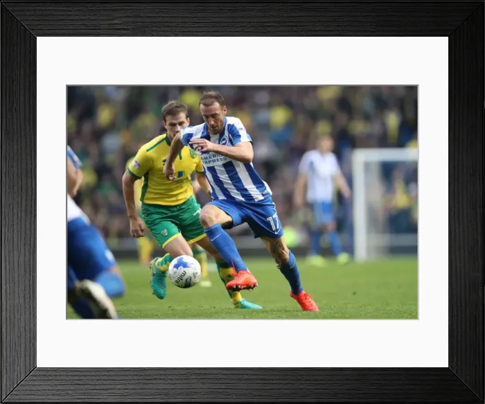 Framed Print : Championship Clash: Brighton & Hove Albion vs. Norwich City (29th October 2016) - American Express Community Stadium Framed Print : Championship Clash: Brighton & Hove Albion vs. Norwich City (29th October 2016) - American Express Community Stadium