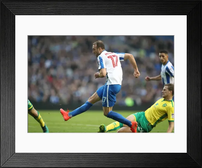 Framed Print : Championship Clash: Brighton and Hove Albion vs. Norwich City at American Express Community Stadium (29Oct16)