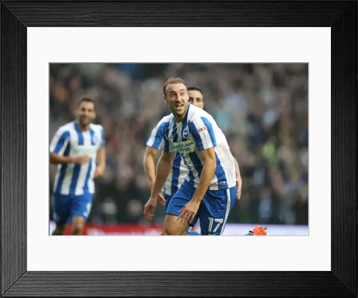 Framed Print : Brighton and Hove Albion vs. Norwich City: A Fierce EFL Sky Bet Championship Clash (29OCT16) Framed Print : Brighton and Hove Albion vs. Norwich City: A Fierce EFL Sky Bet Championship Clash (29OCT16)