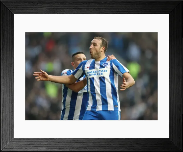 Framed Print : Championship Clash: Brighton & Hove Albion vs. Norwich City (29Oct16) - American Express Community Stadium