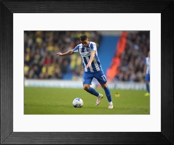 Framed Print : Brighton and Hove Albion vs. Norwich City: A Championship Showdown at the American Express Community Stadium (29OCT16)