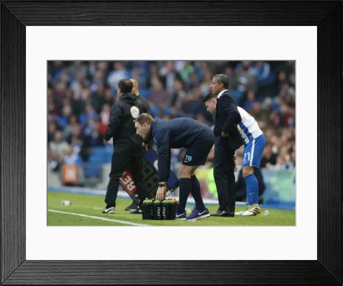Framed Print : Championship Clash: Brighton & Hove Albion vs. Norwich City (29Oct16) - American Express Community Stadium Framed Print : Championship Clash: Brighton & Hove Albion vs. Norwich City (29Oct16) - American Express Community Stadium