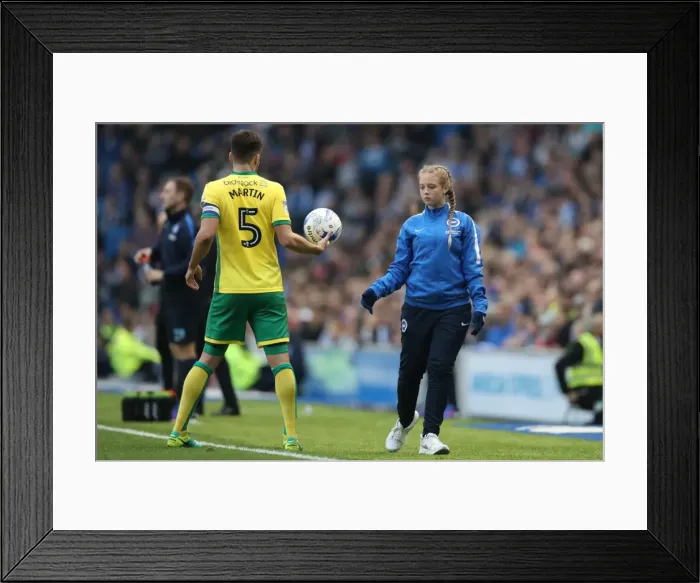 Framed Print : Championship Clash: Brighton & Hove Albion vs. Norwich City (29Oct16) - American Express Community Stadium Framed Print : Championship Clash: Brighton & Hove Albion vs. Norwich City (29Oct16) - American Express Community Stadium