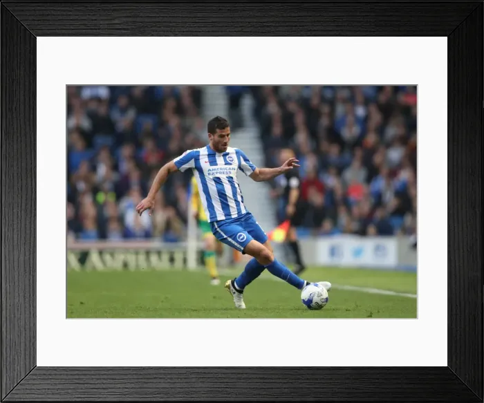 Framed Print : Championship Showdown: Brighton and Hove Albion vs. Norwich City at American Express Community Stadium (29OCT16) Framed Print : Championship Showdown: Brighton and Hove Albion vs. Norwich City at American Express Community Stadium (29OCT16)
