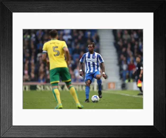 Framed Print : Championship Clash: Brighton & Hove Albion vs. Norwich City (29Oct16) - American Express Community Stadium