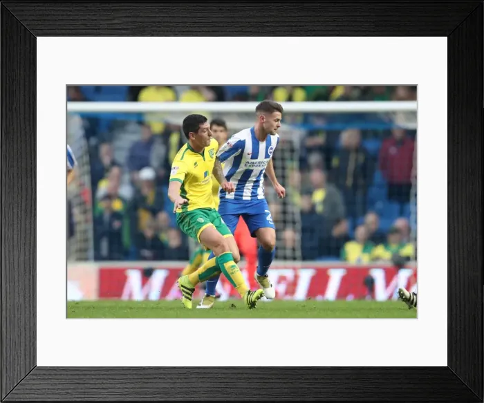 Framed Print : Brighton and Hove Albion vs. Norwich City: A Fierce EFL Sky Bet Championship Clash at the American Express Community Stadium (29OCT16) Framed Print : Brighton and Hove Albion vs. Norwich City: A Fierce EFL Sky Bet Championship Clash at the American Express Community Stadium (29OCT16)