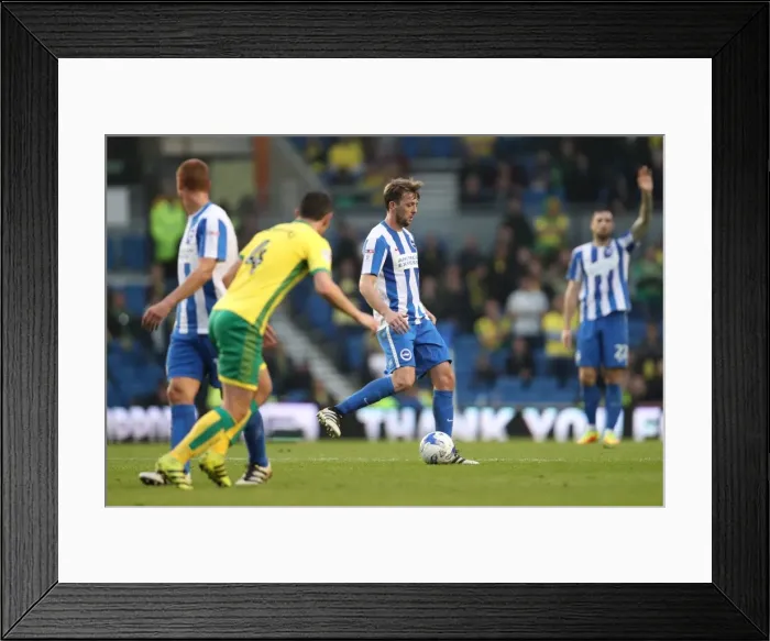 Framed Print : Brighton & Hove Albion vs. Norwich City: A Football Rivalry Ignites at the American Express Community Stadium (29Oct16)