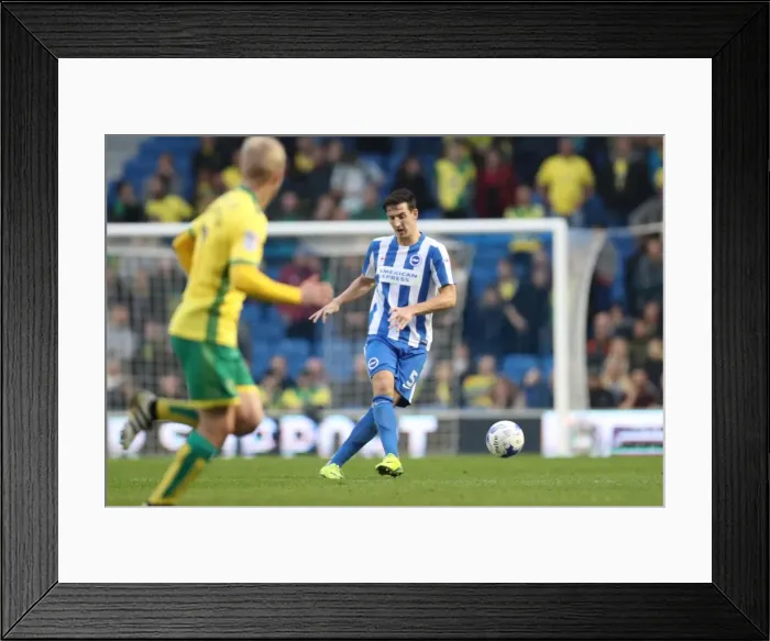 Framed Print : Brighton and Hove Albion vs. Norwich City: A Championship Battle at American Express Community Stadium (October 29, 2016) Framed Print : Brighton and Hove Albion vs. Norwich City: A Championship Battle at American Express Community Stadium (October 29, 2016)