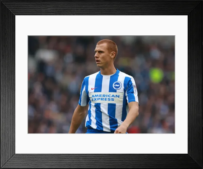 Framed Print : Steve Sidwell in Action: Brighton & Hove Albion vs. Norwich City, EFL Sky Bet Championship (29OCT16) Framed Print : Steve Sidwell in Action: Brighton & Hove Albion vs. Norwich City, EFL Sky Bet Championship (29OCT16)