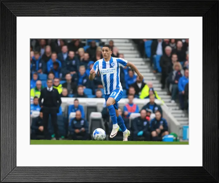 Framed Print : Anthony Knockaert in Action: Brighton & Hove Albion vs. Norwich City, EFL Sky Bet Championship (29OCT16) Framed Print : Anthony Knockaert in Action: Brighton & Hove Albion vs. Norwich City, EFL Sky Bet Championship (29OCT16)