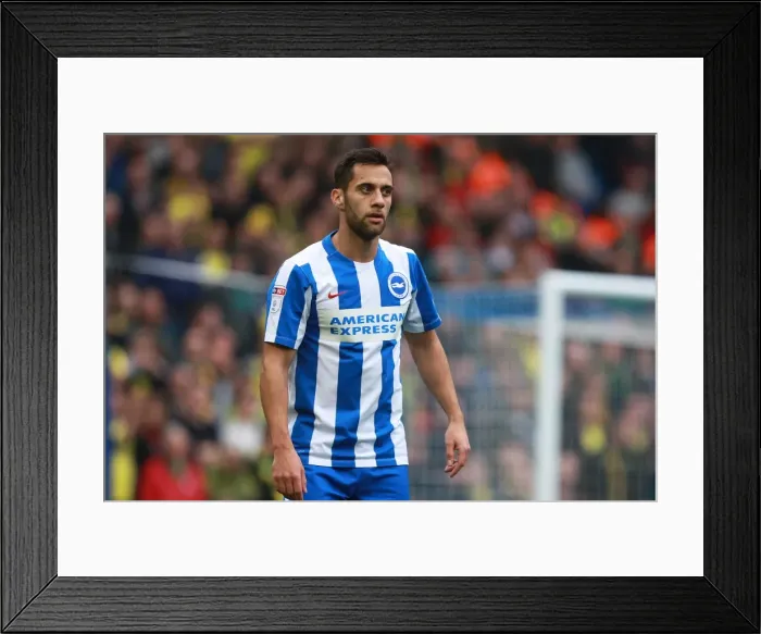 Framed Print : Brighton & Hove Albion vs Norwich City: Sam Baldock's Championship Showdown, October 2016 Framed Print : Brighton & Hove Albion vs Norwich City: Sam Baldock's Championship Showdown, October 2016