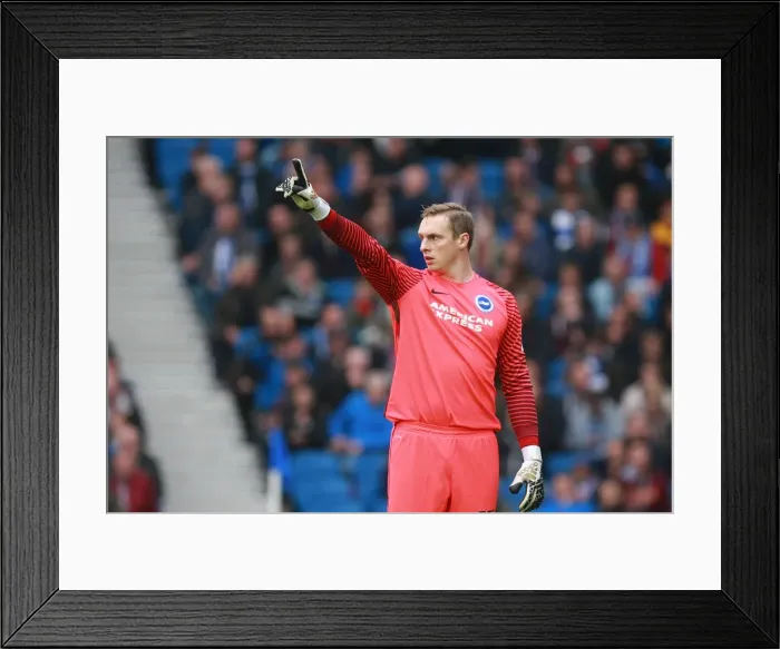 Framed Print : David Stockdale in Action: Brighton & Hove Albion vs Norwich City, EFL Sky Bet Championship, 29th October 2016 Framed Print : David Stockdale in Action: Brighton & Hove Albion vs Norwich City, EFL Sky Bet Championship, 29th October 2016