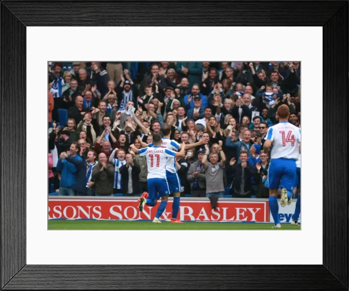 Framed Print : Brighton & Hove Albion's Glenn Murray Celebrates First Goal Against Norwich City in Sky Bet Championship (29OCT16) Framed Print : Brighton & Hove Albion's Glenn Murray Celebrates First Goal Against Norwich City in Sky Bet Championship (29OCT16)