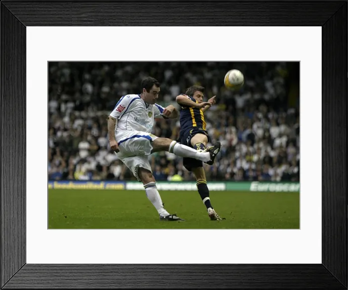 Framed Print : Brighton & Hove Albion vs Leeds United: Away Game, 2008-09 Season Framed Print : Brighton & Hove Albion vs Leeds United: Away Game, 2008-09 Season
