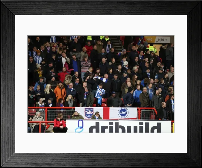 Framed Print : Championship Showdown: Brighton and Hove Albion vs. Bristol City at Ashton Gate Stadium (November 2016) Framed Print : Championship Showdown: Brighton and Hove Albion vs. Bristol City at Ashton Gate Stadium (November 2016)