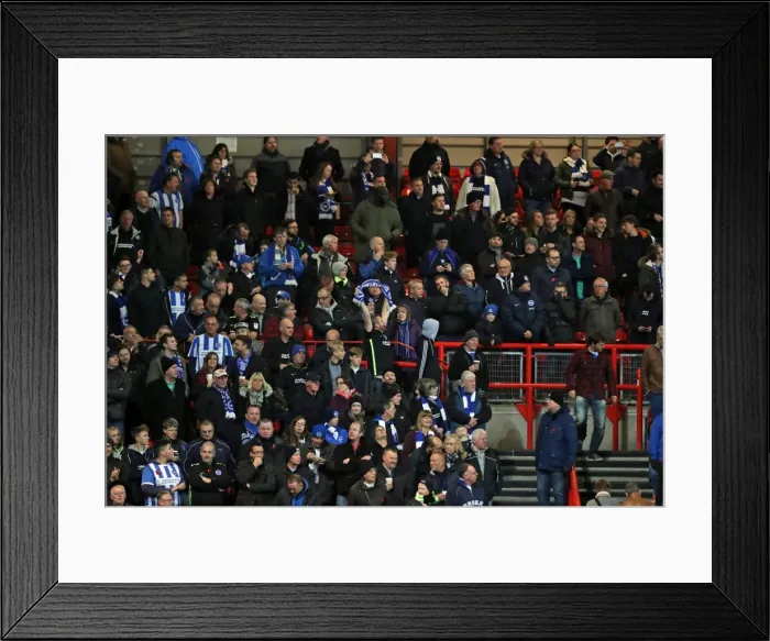 Framed Print : Brighton and Hove Albion vs. Bristol City: EFL Sky Bet Championship Showdown at Ashton Gate Stadium (November 2016)