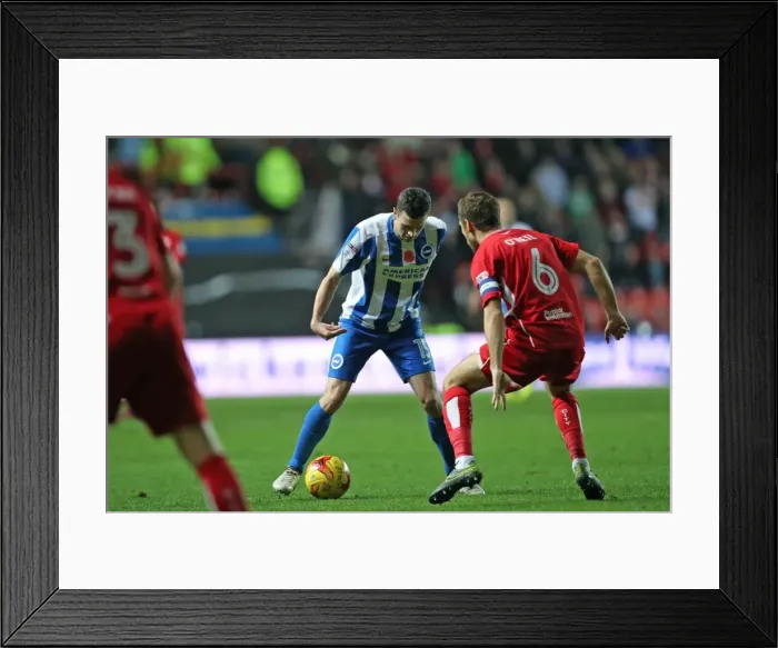 Framed Print : Brighton and Hove Albion vs. Bristol City: Championship Showdown at Ashton Gate Stadium (November 2016)