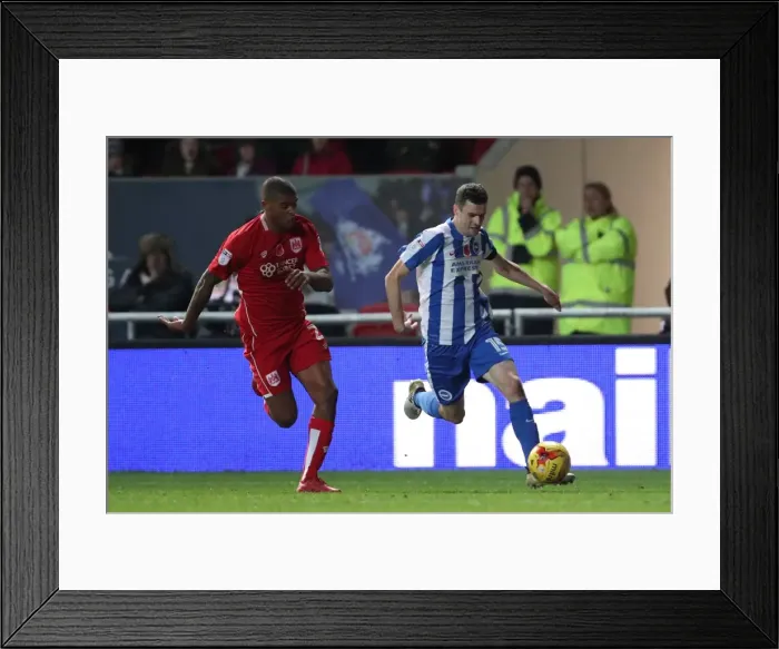 Framed Print : Brighton and Hove Albion vs. Bristol City: Championship Showdown at Ashton Gate Stadium (November 2016)