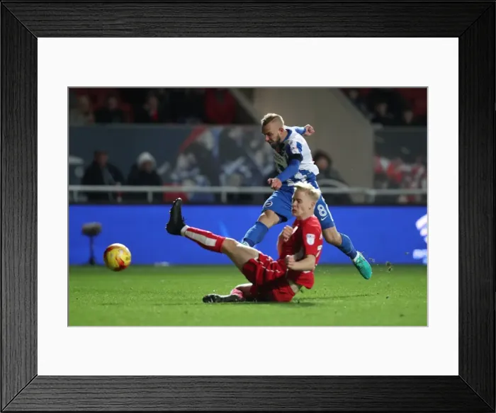 Framed Print : Championship Showdown: Brighton and Hove Albion vs. Bristol City at Ashton Gate Stadium (November 2016) Framed Print : Championship Showdown: Brighton and Hove Albion vs. Bristol City at Ashton Gate Stadium (November 2016)