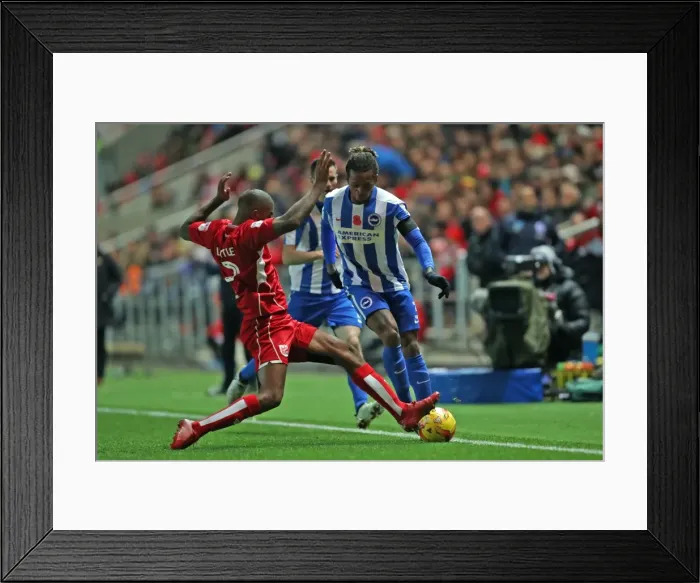 Framed Print : Brighton and Hove Albion vs. Bristol City: Championship Showdown at Ashton Gate Stadium (November 2016) Framed Print : Brighton and Hove Albion vs. Bristol City: Championship Showdown at Ashton Gate Stadium (November 2016)