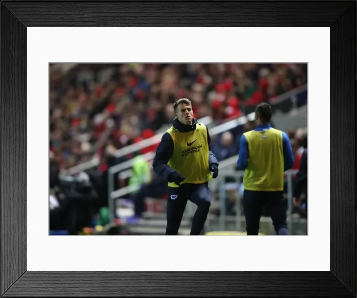 Framed Print : Brighton and Hove Albion vs. Bristol City: A Championship Battle at Ashton Gate Stadium (November 2016) Framed Print : Brighton and Hove Albion vs. Bristol City: A Championship Battle at Ashton Gate Stadium (November 2016)