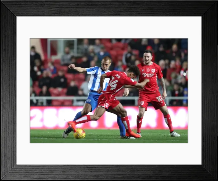 Framed Print : Brighton and Hove Albion vs. Bristol City: Championship Showdown at Ashton Gate Stadium (November 2016) Framed Print : Brighton and Hove Albion vs. Bristol City: Championship Showdown at Ashton Gate Stadium (November 2016)