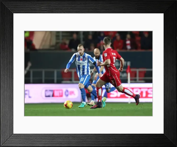 Framed Print : Brighton and Hove Albion vs. Bristol City: Championship Showdown at Ashton Gate Stadium (Nov 2016)