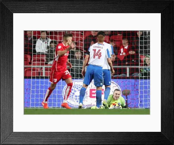 Framed Print : Brighton and Hove Albion vs. Bristol City: EFL Sky Bet Championship Showdown at Ashton Gate Stadium (November 2016) Framed Print : Brighton and Hove Albion vs. Bristol City: EFL Sky Bet Championship Showdown at Ashton Gate Stadium (November 2016)