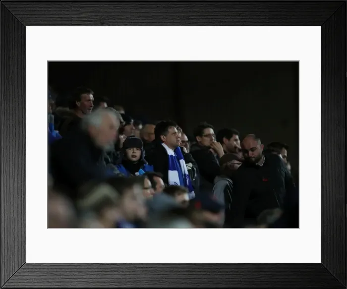 Framed Print : Brighton and Hove Albion vs. Bristol City: Championship Showdown at Ashton Gate Stadium (November 2016) Framed Print : Brighton and Hove Albion vs. Bristol City: Championship Showdown at Ashton Gate Stadium (November 2016)
