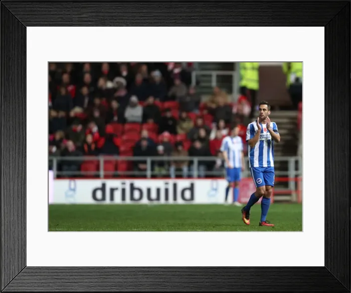 Framed Print : Brighton and Hove Albion vs. Bristol City: EFL Sky Bet Championship Showdown at Ashton Gate Stadium (November 2016)