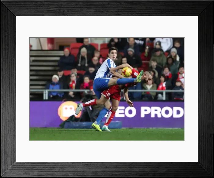 Framed Print : Brighton and Hove Albion vs. Bristol City: Championship Showdown at Ashton Gate Stadium (November 2016) Framed Print : Brighton and Hove Albion vs. Bristol City: Championship Showdown at Ashton Gate Stadium (November 2016)